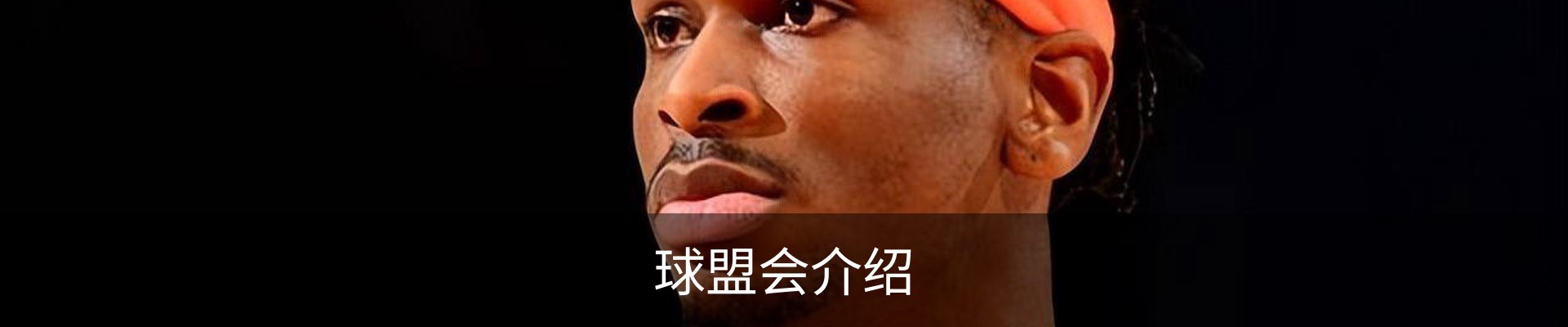 球盟会介绍